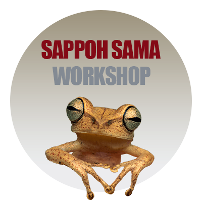 Sappoh Sama Workshop